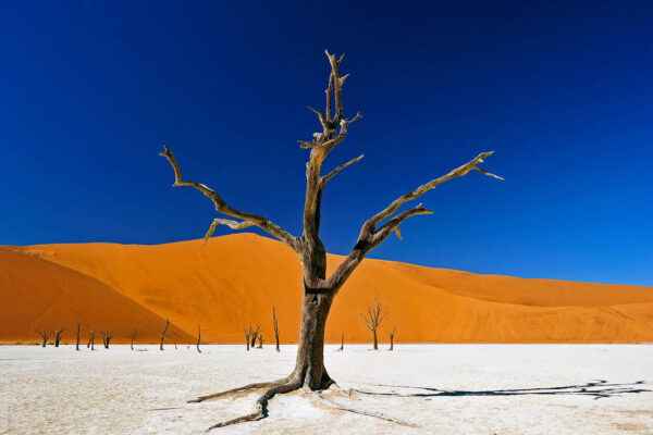 AFRIKA_RESERVIX