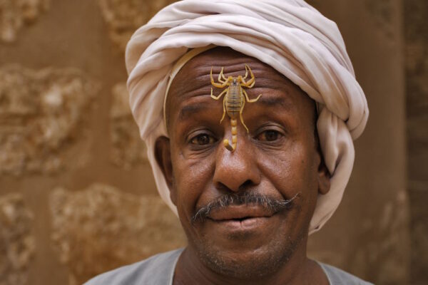 AEGYPT_klein_2