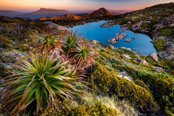 ___AUS_WEB__10