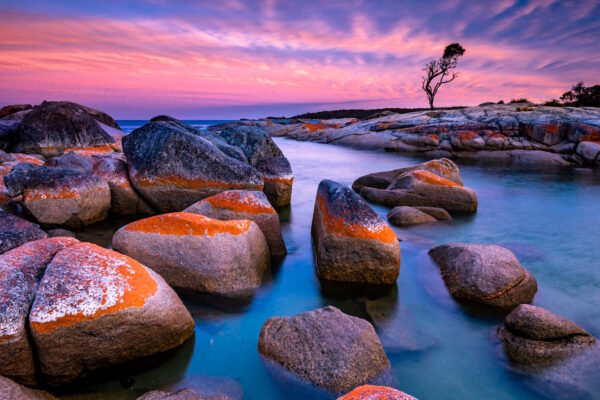 ___AUS_WEB__9